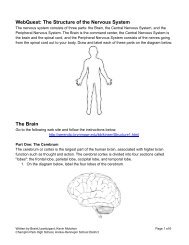 WebQuest: The Structure of the Nervous System The Brain - BrainU