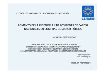 Ing. Edgar Ubbelohde Rosaldo - Academia de IngenierÃ­a