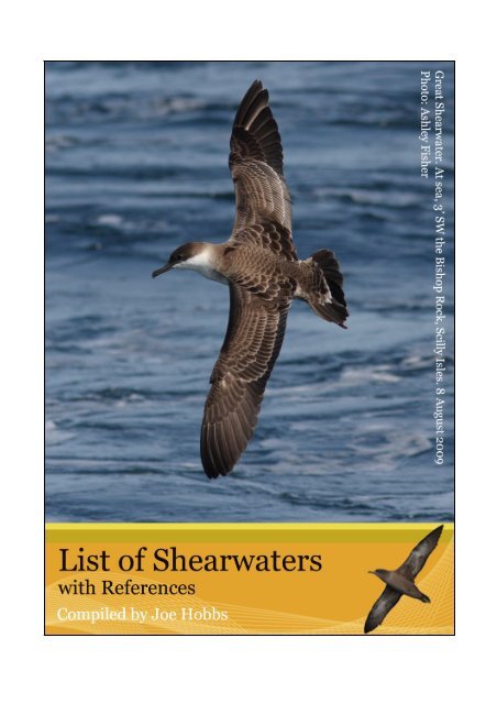 Shearwater references - Dutch Birding