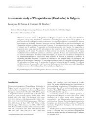 A taxonomic study of Phragmidiaceae - Mycologia Balcanica