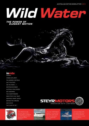 inside - Steyr Motors