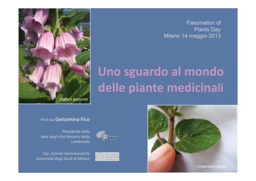 Dott.ssa Gelsomina Fico: Piante officinali - CusMiBio - UniversitÃ  ...