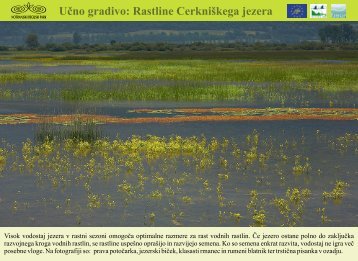 Rastline Cerkniškega jezera - Presihajoče Cerkniško jezero