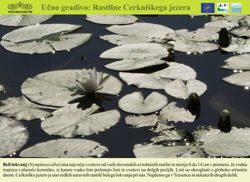 Rastline Cerkniškega jezera - Presihajoče Cerkniško jezero