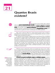 21. Quantos Brasis existem? - Passei.com.br