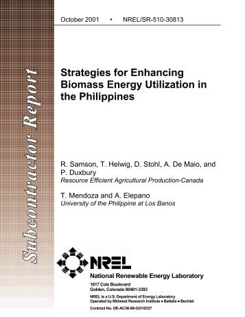 Strategies for Enhancing Biomass Energy Utilization in the Philippines