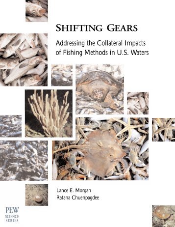 Shifting gears: Addressing the collateral impacts of fishing methods ...