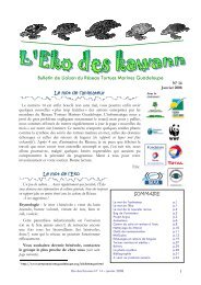 Bulletin de Liaison du Réseau Tortues Marines Guadeloupe