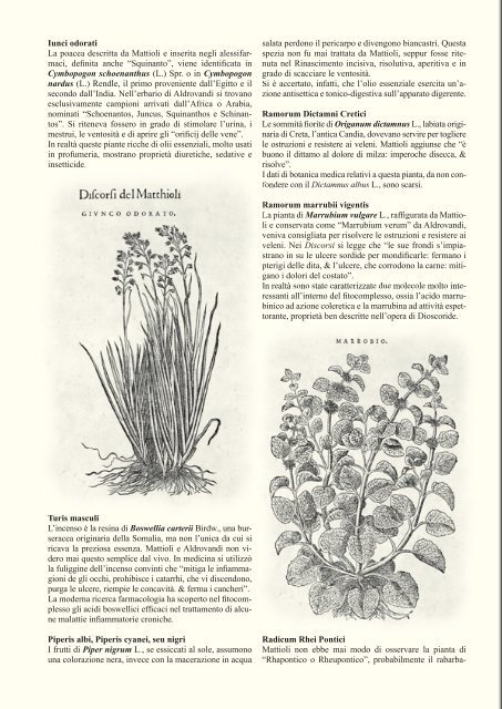 Le piante di Francesco Calzolari - SocietÃ  Botanica Italiana