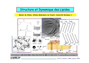 Structure et Dynamique des Lipides Structure et Dynamique des ...