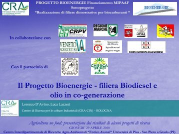 filiera Biodiesel e olio in co-generazione - Luca ... - Enrico Avanzi