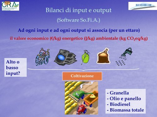 filiera Biodiesel e olio in co-generazione - Luca ... - Enrico Avanzi