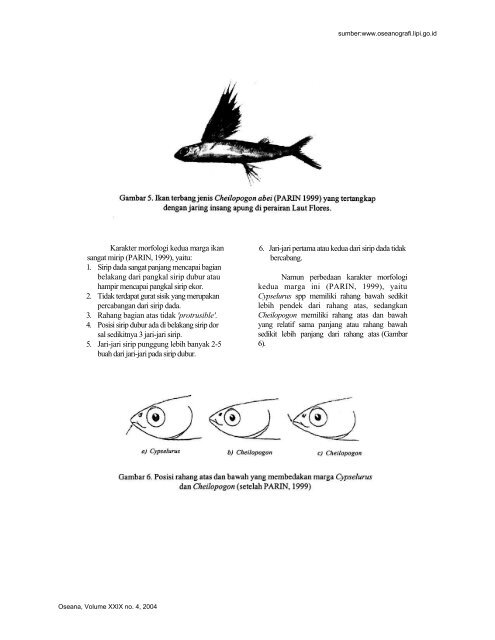 IKAN TERBANG: ANTARA MARGA Cypselurus DAN Cheilopogon ...