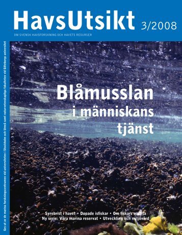 HavsUtsikt nr 3,2008 - Havet.nu