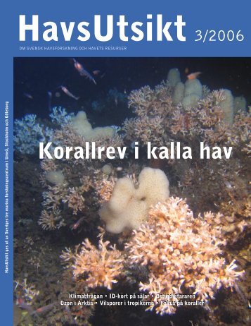 HavsUtsikt nr 3,2006 - Havet.nu