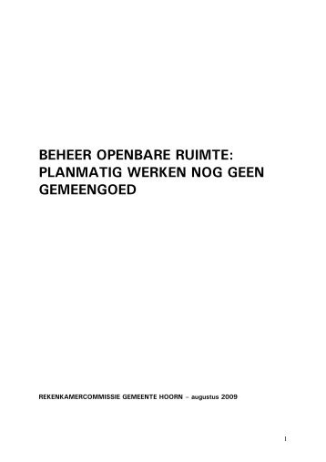 BEHEER OPENBARE RUIMTE: PLANMATIG ... - Gemeente Hoorn