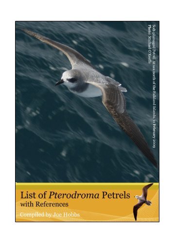 Pterodroma references - Irish Rare Birds Committee