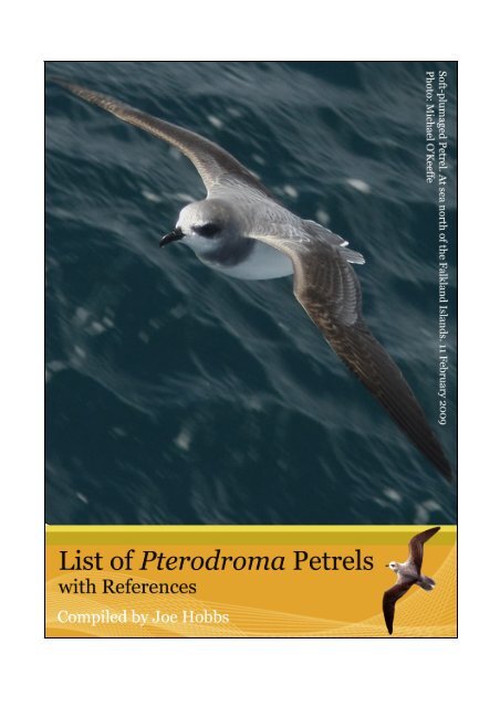 Pterodroma references - Irish Rare Birds Committee