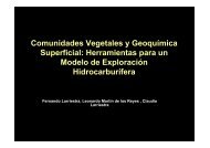 Comunidades Vegetales y GeoquÃ­mica Superficial ... - Larriestra