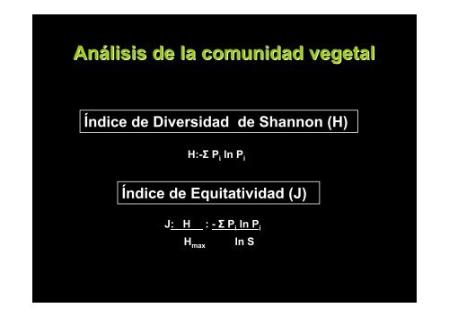 Comunidades Vegetales y GeoquÃ­mica Superficial ... - Larriestra