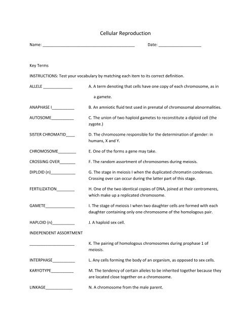 handout-cellular-reproduction-key-terms