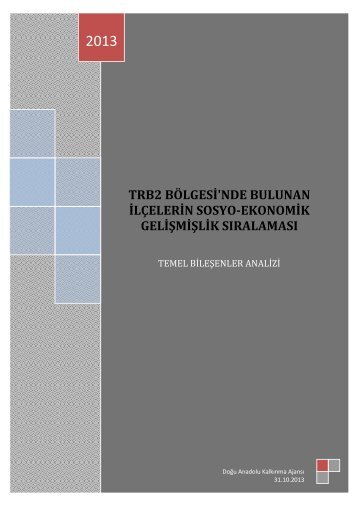 TRB2 Bölgesi ilçeleri Sosyo-Ekonomik