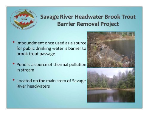 Savage River Watershed Association: Big Efforts of a Small Group