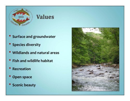 Savage River Watershed Association: Big Efforts of a Small Group