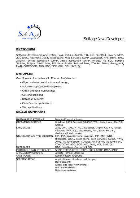 rational application developer vs visual studio rational application developer vs visual studio