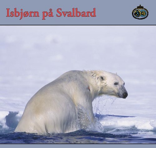 IsbjÃ¸rn pÃ¥ Svalbard - Sysselmannen