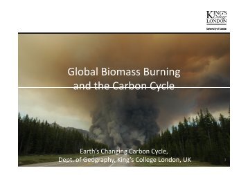 Prof. Wooster: Remote sensing of fires (cont) [PDF - UCL ...