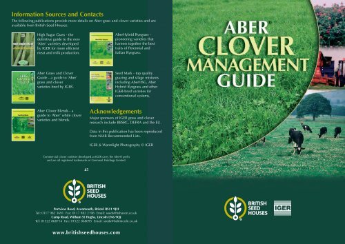 Aber White Clover