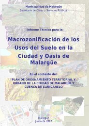 MacrozonificaciÃ³n-Informe Final.pdf - Plan EstratÃ©gico de MalargÃ¼e