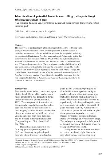 Rhizoctonia solani.pdf - RAC-1 - Mardi