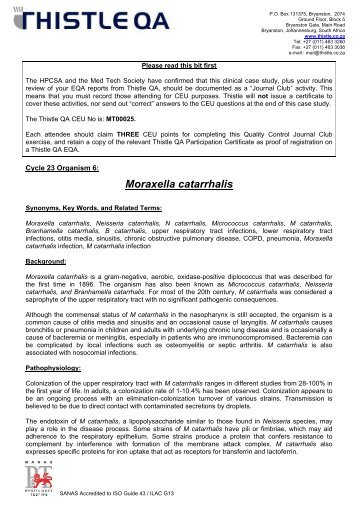 Moraxella catarrhalis - Thistle QA