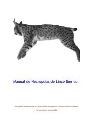 Manual de Necropsias de Lince IbÃ©rico - Programa conservaciÃ³n ...