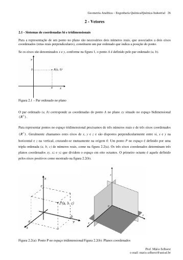 2 - Vetores - Curso de Engenharia Química-UNISUL