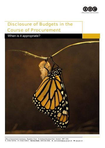 Disclosure of Budgets in the Course of Procurement