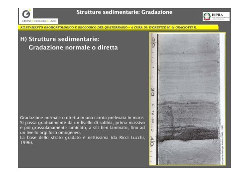 H) Strutture sedimentarie - Docenti.unina.it