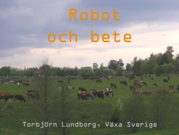 5. Bete och robot, TorbjÃ¶rn Lundborg.pdf