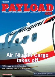 to download a PDF of the article - Air Niugini