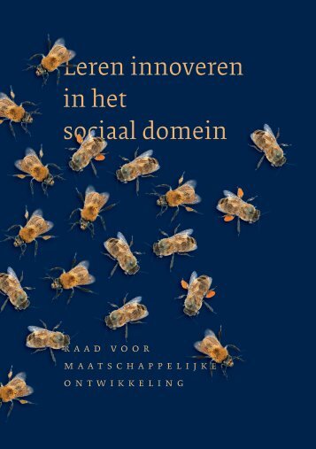 Leren-innoveren-in-het-sociale-domein-web--1-