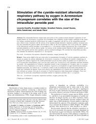 Stimulation of the cyanide-resistant alternative respiratory pathway ...