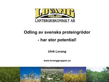 Ulrik Lovang.pdf