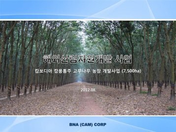 Ⅳ. BNA (CAM) Corp. 소개 - asean-korea centre