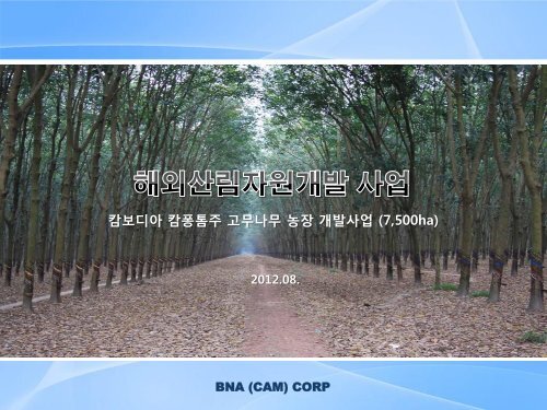 Ⅳ. BNA (CAM) Corp. 소개 - asean-korea centre