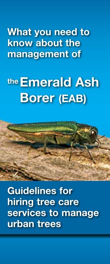 Emerald Ash Borer - City of Toronto