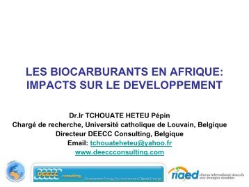 les biocarburants en afrique: impacts sur le developpement - RIAED