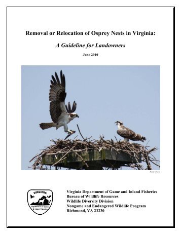 Osprey Guidelines - Virginia Department of Game and Inland Fisheries