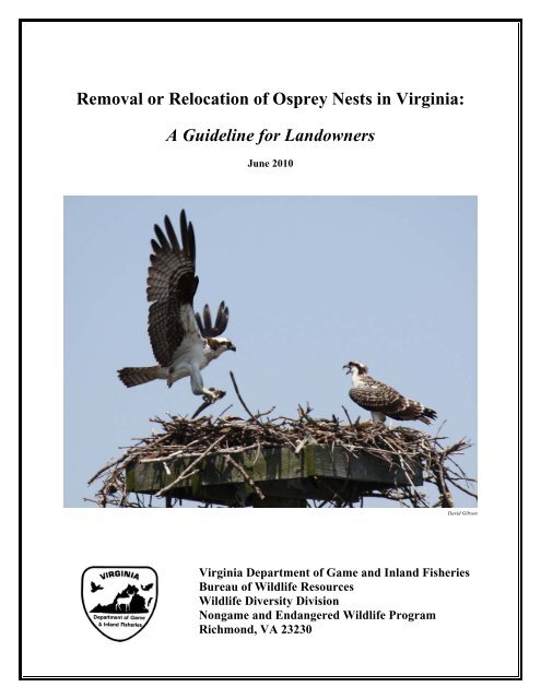 Osprey Guidelines - Virginia Department of Game and Inland Fisheries